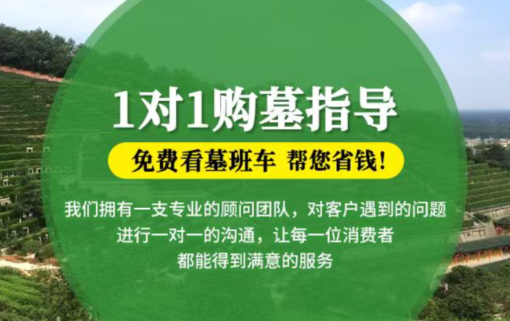 松滋贺州市钟山县祭祀用品的现代替代品有哪些？